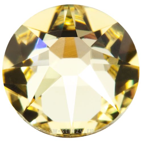 2088 ss 30 Jonquil F