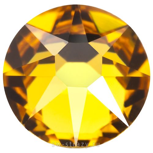 2088 ss 12 Sunflower F